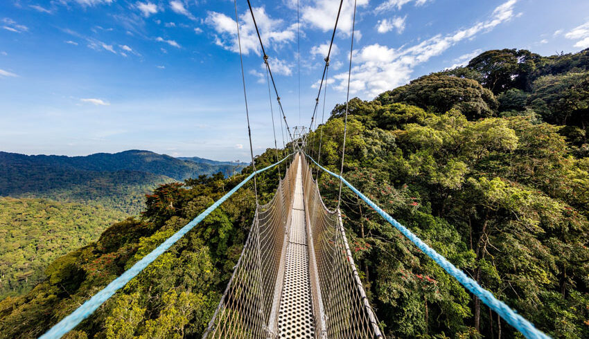 nyungwe-canopy-walk