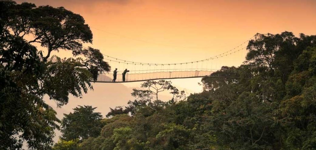 1 DAY CANOPY WALK WAY